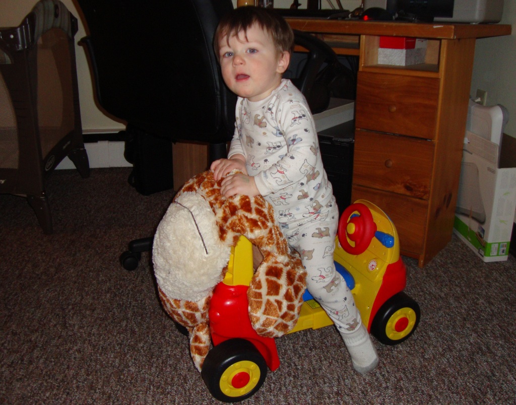 Emmett on Safari