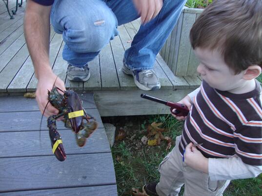 Toddler and Lobster Toddler and Lobster