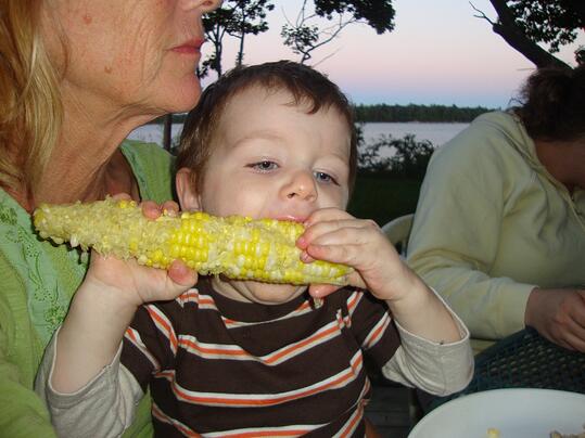Toddler eating corn on the cob Toddler eating corn on the cob