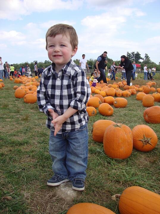 Emmett in Pumpkin Patch toddler, pumpkin patch