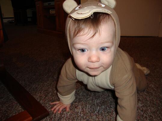 Monkey Close-Up