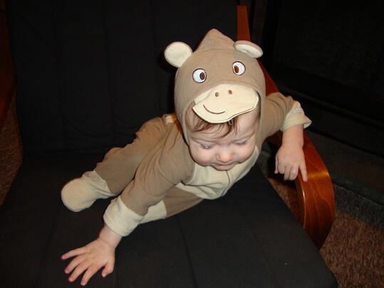 Emmett the Monkey